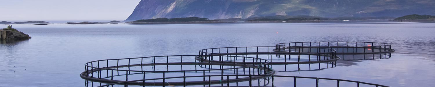 aquaculture aquaculture