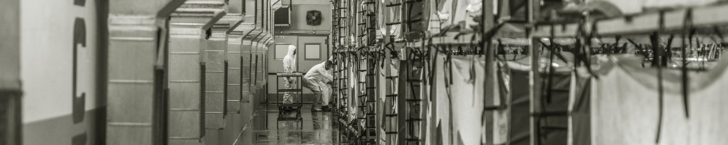 Agriprotein technologies